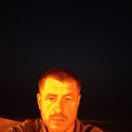 , 43 , 