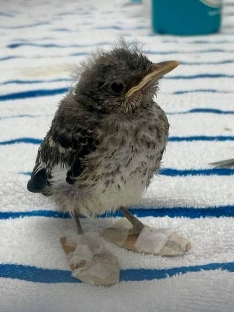 ��������� ������������ ��� ������� �������! ���������� �� ����� ������� �����! ���� ���� ����������� ...