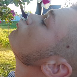 , 27, 