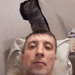 , 37, 
