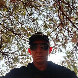 ������� ���������, �������, 38 ���