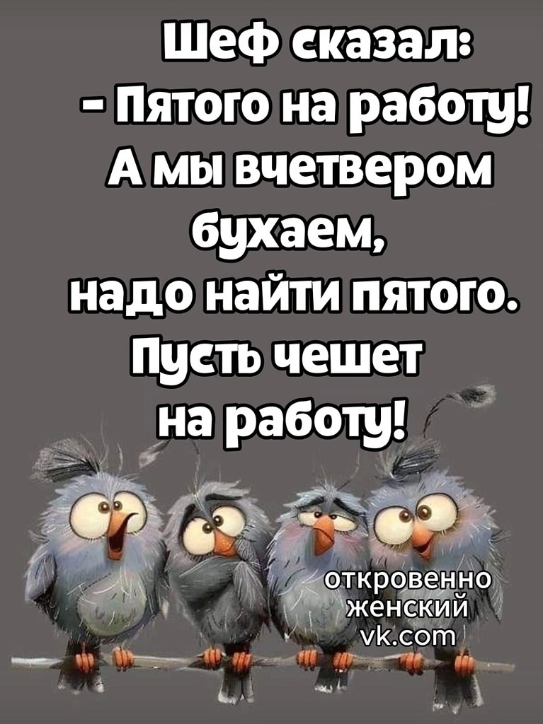  - 3  2025  16:15