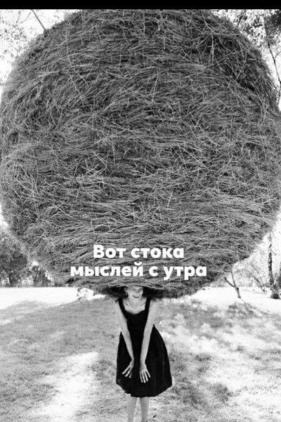   - 29  2024  09:16