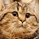 ���� �����, ��������, 25 ��� - ��������� 13 �������� 2024 � ������ ���� ����������