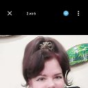 ���� ������, ��������, 68 ��� - ��������� 15 ��� 2026