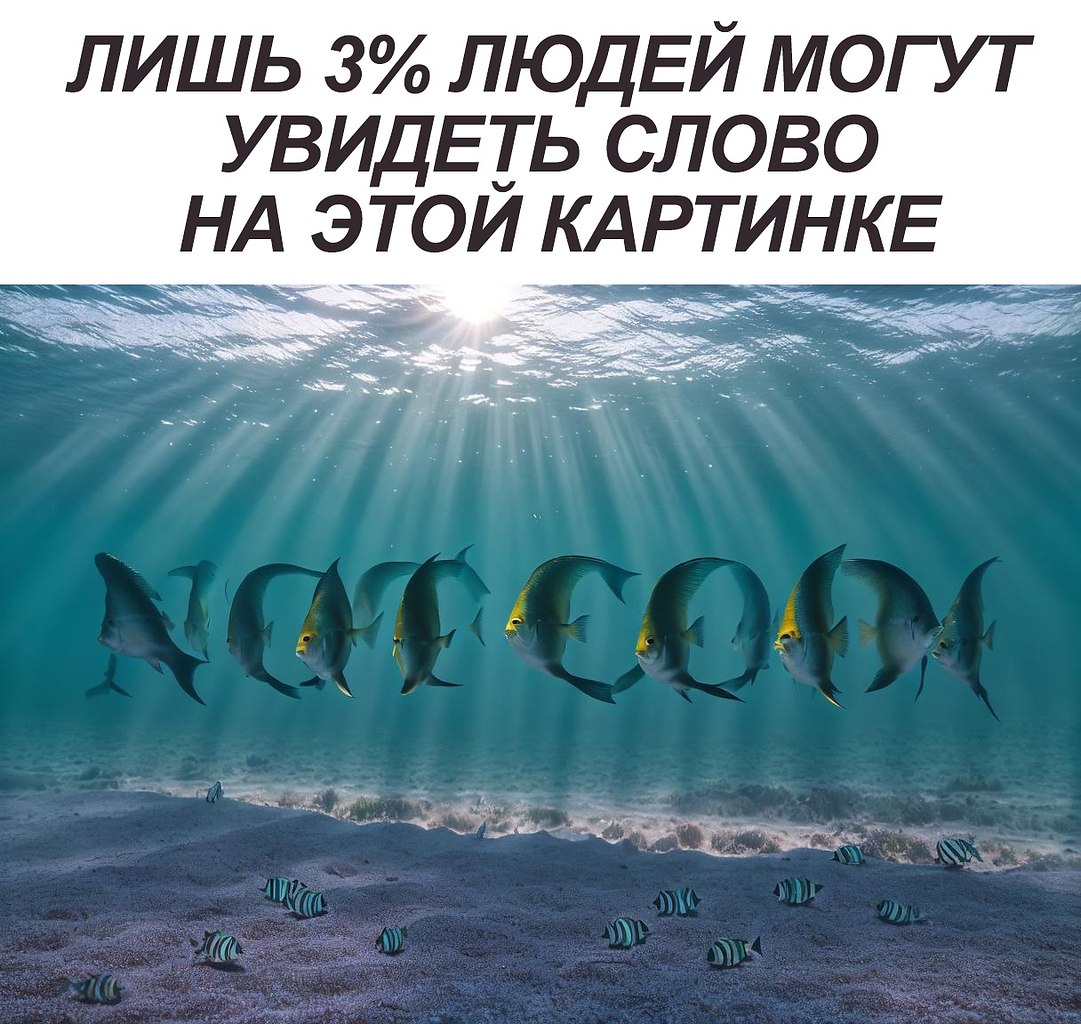  © - 6  2024  12:04