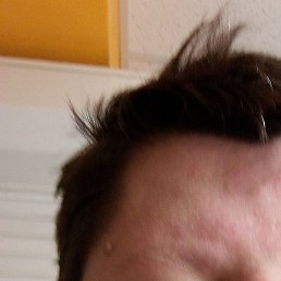 , , 32 