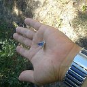 ���� Mara, ������, 44 ���� - ��������� 3 ����� 2025