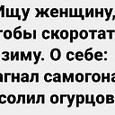  Vasik, , 66  -  2  2024    
