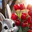 ���� Diana, ��������, 26 ��� - ��������� 21 ����� 2025