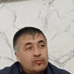  , 44 , 