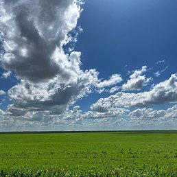 Фото Роман, Иваново, 48 лет Роман, Иваново, 48 лет