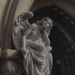 Roza, ��������, 36 ���