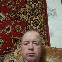 �������, 41 ���, ������