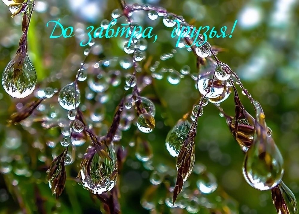 ПРИВЕТСТВИЯ и ПОЖЕЛАНИЯ, открытки на каждый день. - 14 октября 2025 в 22:02