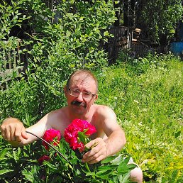 ���� ����, ����������, 53 ���� - ��������� 21 ������� 2026