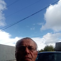 , 65 , 