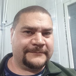 Pofig Inc., �����