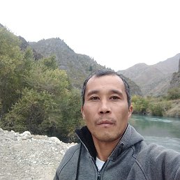 , 38, 