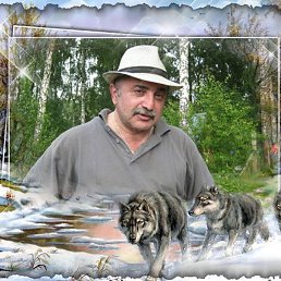 ����, ������