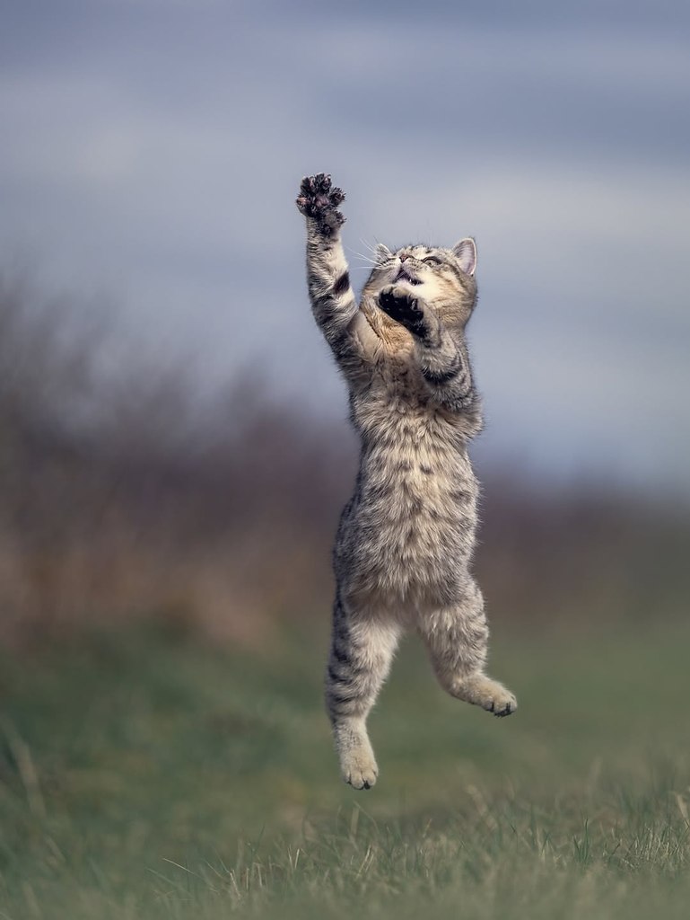 ����� �������� �� ������ �� ������. ��������� ��������� ����� ��������� ������, ��� ��� �� ��� ��� ... - 7