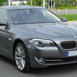 User, ��������, 31 ���