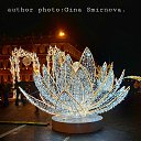  Gina Smirnova, -, 46  -  6  2025    