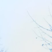 �����, 35 ���, ����