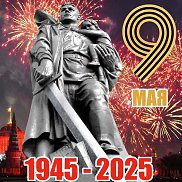 ��������� �������, 51 ���, ������