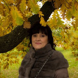 ���� ����, �����-���������, 66 ��� - ��������� 14 ������ 2024