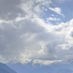 ���, ������������, 44 ����