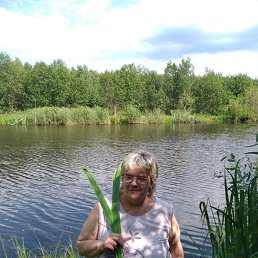 ���� �������, ������, 56 ��� - ��������� 1 ������� 2024