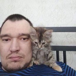 , 40, 