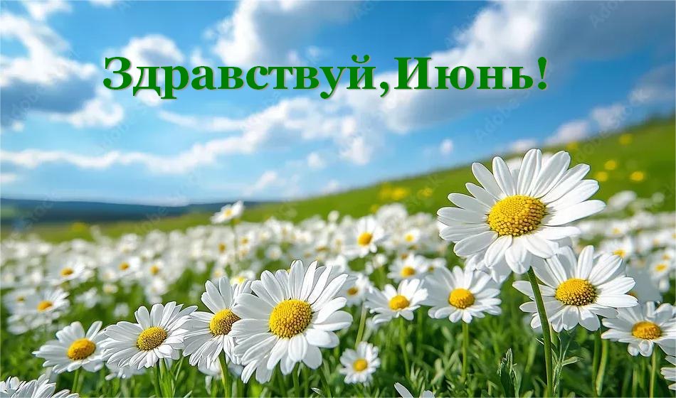 ����� - 1 ���� 2026 � 00:23