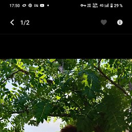 ���� �����, ������, 55 ��� - ��������� 14 ����� 2026