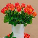 ���� ������, ������, 58 ��� - ��������� 15 ������ 2025 � ������ ������ ��������