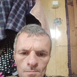   , 41, 