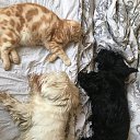 ���� �������, �������, 65 ��� - ��������� 28 ������� 2025