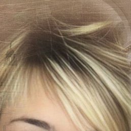 �������, �����-���������, 49 ���