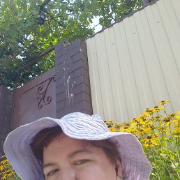 , 43 , --