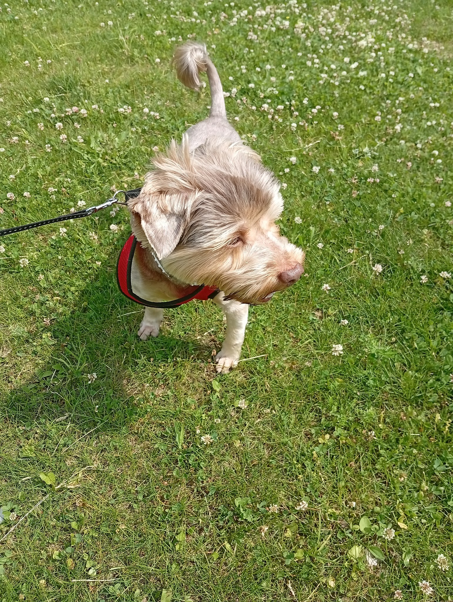 Diva - 8  2025  13:40 - 2