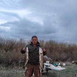 , 40, 