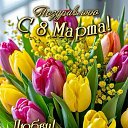 ���� �����, �������, 66 ��� - ��������� 8 ����� 2026 � ������ ������ ��������