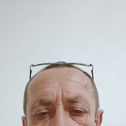 , 53 , 