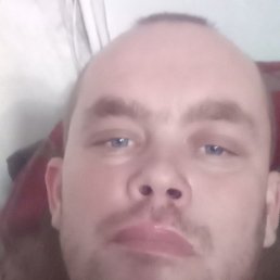 ������, �����������, 36 ���