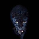 ���� �����, ������, 38 ��� - ��������� 30 ������� 2023