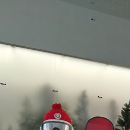 �����, ����, 53 ����