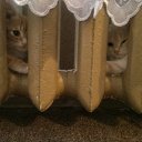 ���� Valia, ������ - ��������� 18 ������ 2025 � ������ ������ ��������