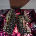 ���� ����, ����, 50 ��� - ��������� 11 ������� 2025 � ������ ��������