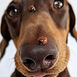 �������, ��������, 48 ���